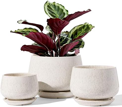 LE TAUCI Plant Pots, 4.1+5.1+6.5 inch, Set of 3, Ceramic Planters with Drainage Hole and Saucer, Indoor Flower Pot with Hole Mesh Pad, Gifts for Mom