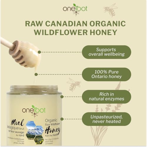 Oneroot 100% Organic Canadian Wildflower Honey - 17.6 Oz/1.1 Lbs, Unheated & Creamed - Nutrient-Rich