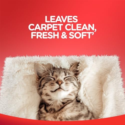 Resolve Steam Carpet Cleaner Solution Shampoo, 3.75 Lb Bottle, 2X Concentrate, Safe for Bissell, Hoover & Rug Doctor, Carpet Cleaner