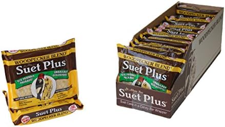 Suet Plus Zesty Orange Suet 12 Pack