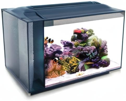 Fluval Evo XII Saltwater Aquarium Kit, 13.5 Gal. | Saltwater Fish Tank with Reef-Capable LED