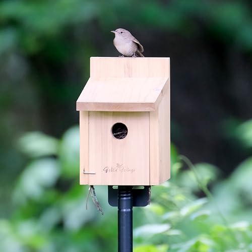Nature's Way Cedar Box Wren House with Clean-Out Door, Wild Bird House and Outdoor Décor, Brown