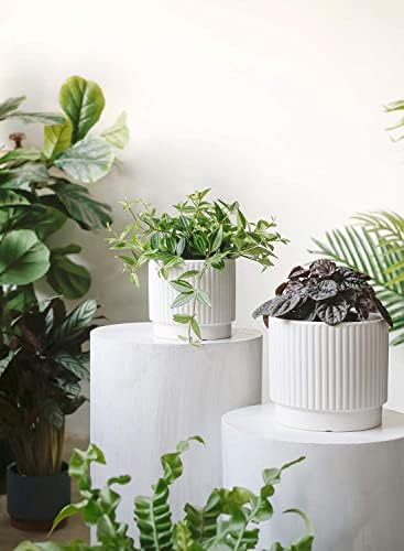 LE TAUCI Ceramic Plant Pots with Drainage Holes, Set of 3, 8+6.7+5.5 Inch Stripe Garden Planter Pots for Outdoor Indoor Plants Flower