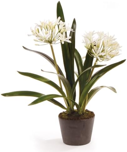 Napa Home & Garden Agapanthus Drop-in 23" 23 Inch White