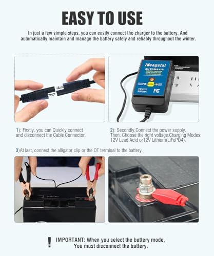 Heagstat HEAG020 Trickle Battery Charger, 12V 2000mA Battery Maintainer
