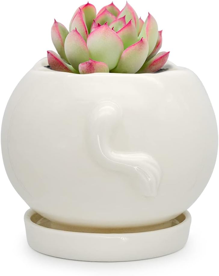 GeLive White Cow Succulent Pot, Small Ceramic Animal Planter with Drainage Hole & Saucer for Cactus, Mini Air Plants, Pencil Holder Brush Organizer, Indoor Home Office Desk Decor, Funny Gift