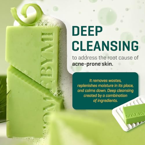 SOME BY MI AHA BHA PHA 30 Days Miracle Acne Clear Body Cleanser 13.5oz – Salicylic Acid & Tea Tree Acne Body Wash – Deep Cleansing