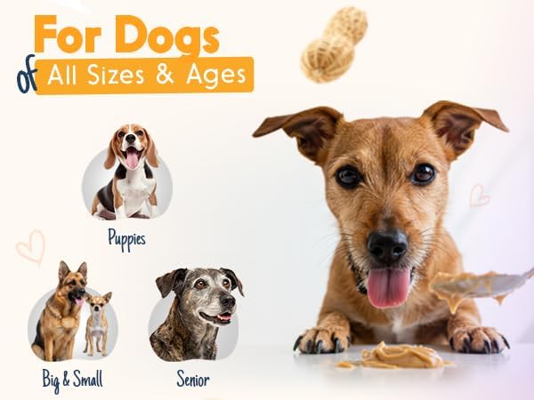 BUDDY BUDDER, Ruff Ruff Raw, Natural Dog Peanut Butter, Dog TreatMade in USA, (17 oz Jars)