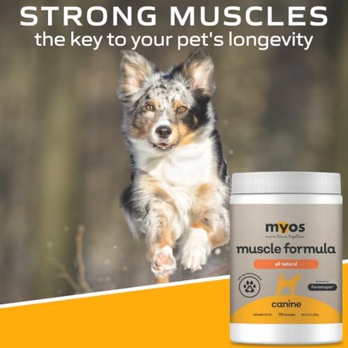 MYOS Canine Muscle Formula - Dog Muscle Builder & Mobility Support - 180 g