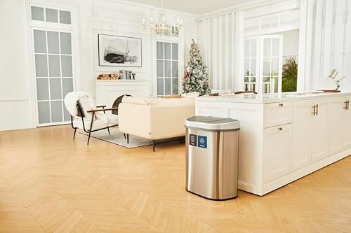 Ninestars DZT-70-R3 Motion Sensor Trash Can, Extra Large, Silver