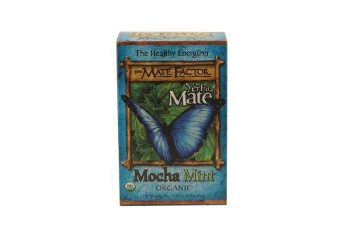 Hibiscus Lime Yerba Mate tea, 20 tea bags