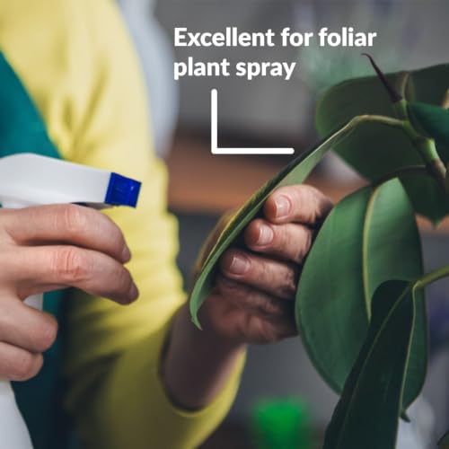SUPERthrive Organic Pure Neem Oil, Cold-Pressed, Concentrate, 32 oz | 100% cold pressed & filtered. No additives, biodegradable. For leaf polish and plant care.