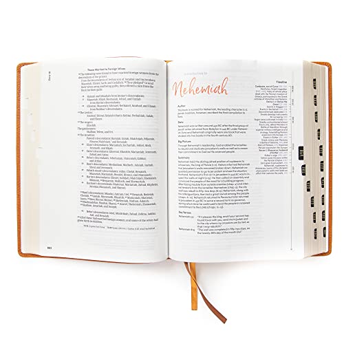 CSB Lifeway Women's Bible, Butterscotch Genuine Leather, Black Letter, Single-Column, Wide-Margins, Devotions, Articles, Word Studies