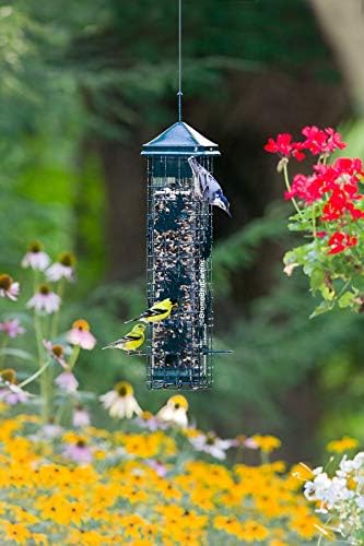 Squirrel Solution200 Squirrel-proof Bird Feeder w/6 Feeding Ports, 3.4-pound Seed Capacity, Free Seed Funnel | Six ports