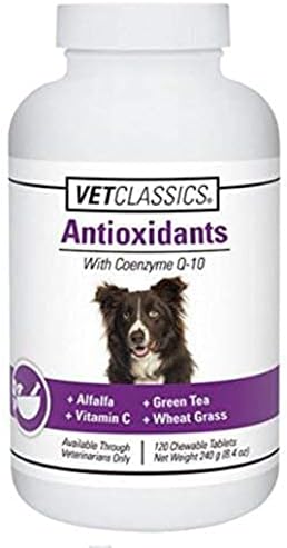 Coenzyme Q-10 Antioxidant Dog Supplement – Pet Health Supplement for Dogs – Supports Overall Dog Wellness, Aging – Includes Green Tea, Vitamin C