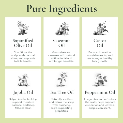 J.R.LIGGETT'S All Natural Shampoo Bar Variety Set 3-Pack, 3.5 oz Each | Tea Tree, Jojoba & Peppermint, and Coconut & Argan Oil Formula