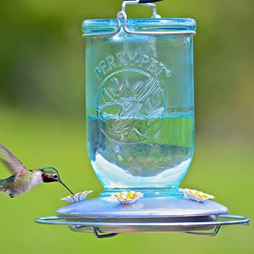 Perky-Pet Mason Jar Hummingbird Feeder, 32 oz Nectar Capacity | Vintage Style Glass Bird Feeder, 5 Flower Feeding Ports, Outdoor Garden Backyard Wildlife