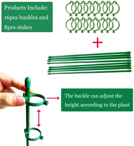 Belit 8 Pack Plant Supports for Small Plants, Garden Flowers Green Plant Support Ring, Planter Support Ring for Schlumbergera, Clivia, Succulents