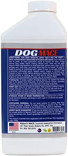 Nature's MACE Dog Mace Dog Repellent 1 Gallon Concentrate | Potty Training Tool Spray, Indoor & Outdoor, Pee Deterrent, Safe Around Kids, Pets, Garden & Plants, Treats 48,000 Sq. Ft.