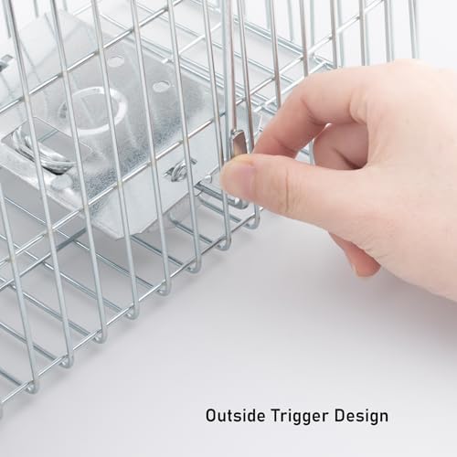 Faicuk Large Collapsible Humane Live Animal Cage Trap for Raccoon, Opossum, Stray Cat, Rabbit, Groundhog and Armadillo 32 x 11 x 13 Inch