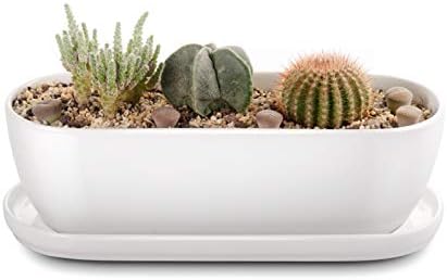 E-liu 11 Inch Oval Ceramic Planter Pot with Drainage Hole Saucers
