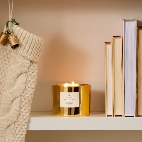 Thymes Frasier Fir Gilded Gold 3-Wick Candle - Scented Candle with a Crisp Just-Cut Forest Fragrance - Luxury Home Fragrance - Elegant Holiday