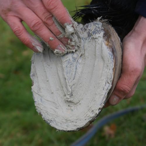 Field Paste - Antimicrobial/Antifungal Horse Hoof Sole & Frog Dressing (750g) | Hoof Thrush Treatmentl | Sole & Frog Active Clay | Non-caustic | Red