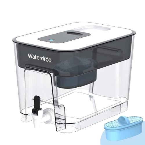 Waterdrop WFD-22L Large Water Filter Dispenser, 40-Cup Capacity, Black