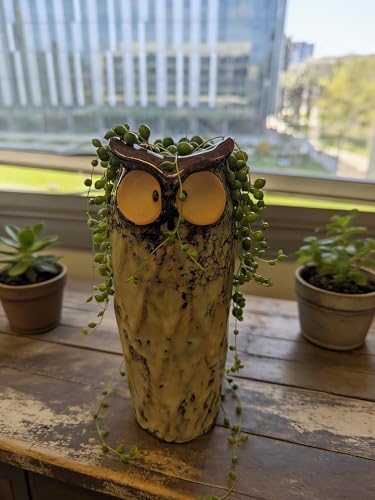GeLive Blue Owl Ceramic Succulent Planter with Drainage Hole Animal Plant Pot Tabletop Decoration Vase Window Box Indoor Outdoor Decor (Blue)