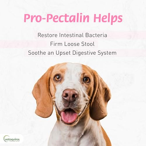 Vetoquinol Pro-Pectalin Oral Paste for Dogs & Cats – Chicken Flavor – Helps Reduce Occasional Loose Stool & Diarrhea, Balance Gut pH, Support Normal Digestion & Intestinal Flora - 30 cc