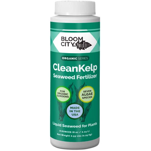Bloom City Seaweed and Kelp Liquid Fertilizer for Plants, 32 oz | Encourages Strong Root Growth, Helps Ease Transplant Shock, Foliar Spray or Soil Drench, Indoor & Outdoor Garden Use