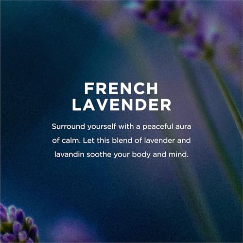 EO French Lavender Body Lotion Refill, Bulk Gallon, 128 oz | 1-gallon bulk refill | fits most dispensers | essential oil formula | moisturizes dry skin | salon-size | men and women