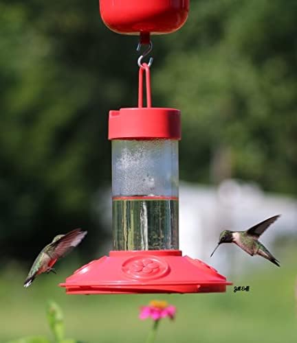 SE6002 Dr Jb's Clean Feeder, Red, 16-Ounce