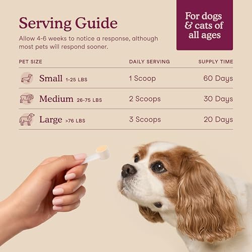 Fera Pets Bladder Support Cranberry Supplement for Dogs & Cats - 60 Scoops