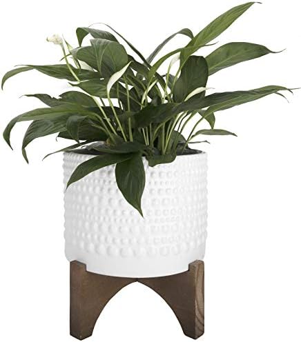LA Jolie Muse Ceramic Pot for Plants, 8 Inch Indoor Planter with Stand
