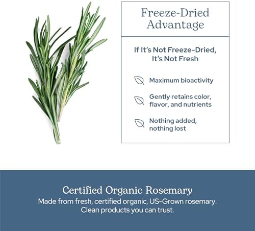 Eclectic Herb - Rosemary Capsules | Cognitive Support, Memory & Brain Health | Mood Support | Herbal Supplement | Vegan, Non-GMO, Gluten Free