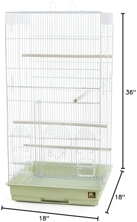 Prevue Pet Products SPECONO1818H-SG Tall Tiel Cage, Sage Green