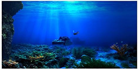 Meiyya 3D Aquarium Background 75 Gallon