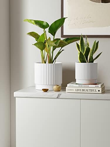 LE TAUCI Ceramic Plant Pots with Drainage Holes, Set of 3, 8+6.7+5.5 Inch Stripe Garden Planter Pots for Outdoor Indoor Plants Flower