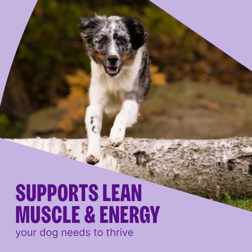 Wellness CORE Puppy Dry Dog Food, Grain Free Kibble, Natural, High Protein, Chicken and Turkey Recipe, 4 lb Bag