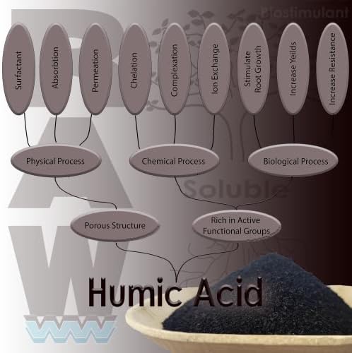 RAW Humic Acid 2 oz