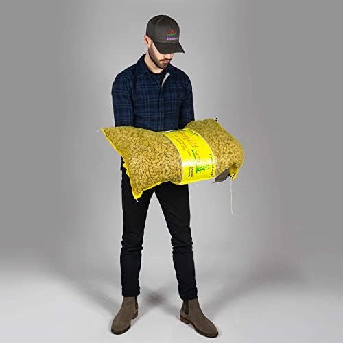 WINGFIELD-25 25 lb Virginia in Shell Animal Peanuts (25lb Bag) for Wildlife, Yellow