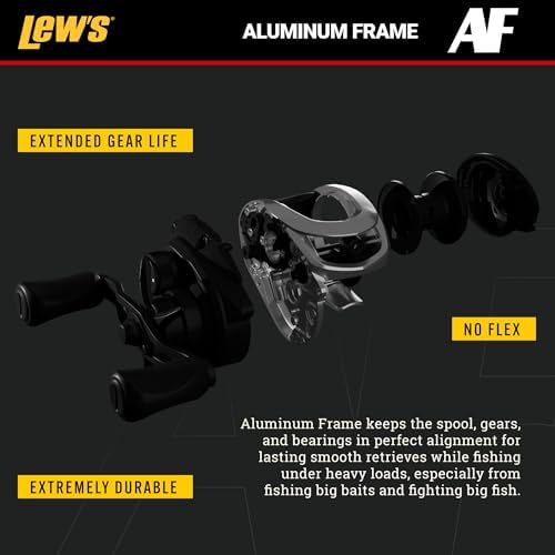 Team Lew's Pro SP Baitcast Fishing Reel