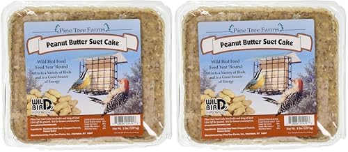 Pine Tree 1421 Peanut Butter Wild Bird Suet Cake, 3-Pound