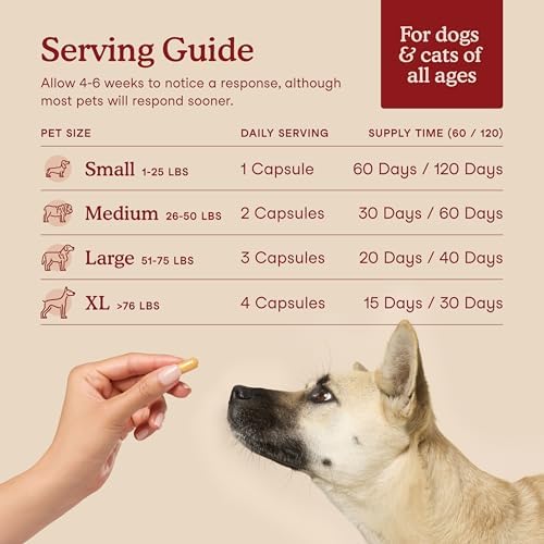 Fera Pets Heart Supplement - Taurine for Dogs & Cats, 60 Capsules