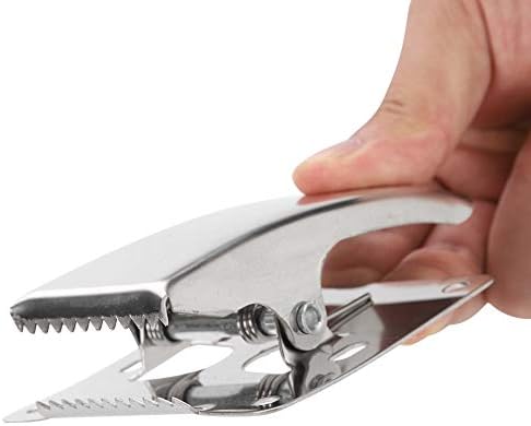 Fish Grip, Stainless Steel Fillet Clamp with Deep Jaw for Secure Fish Tail Holding and Processing