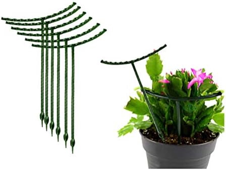 Belit 8 Pack Plant Supports for Small Plants, Garden Flowers Green Plant Support Ring, Planter Support Ring for Schlumbergera, Clivia, Succulents