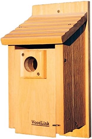 Woodlink BB3 Traditional Bluebird House
