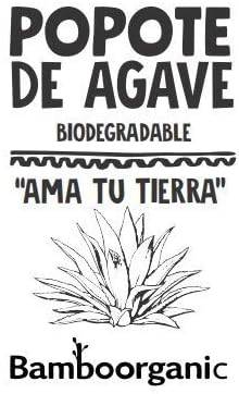 Agave Fiber Straws, 50-Pack, Individually Wrapped, for Smoothies & Cocktails