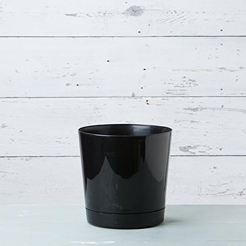 Novelty Majestic Full Depth Round Cylinder Pot, Glossy White, 8-Inch (10082)